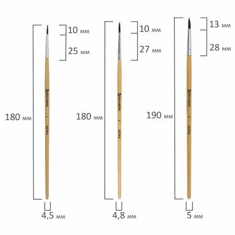 Кисти BRAUBERG, набор 5 шт. (белка, круглые № 1, 2, 3, 4, 5), блистер, 200217