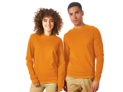 Свитшот «Motion» с начесом, унисекс, Размер 2XL, Цвет оранжевый