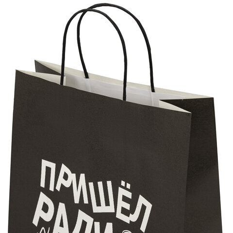 Пакет подарочный (1 штука) 26х13х32 см (L) "Пришел ради вискаря!", крафт, ЗОЛОТАЯ СКАЗКА, 700842