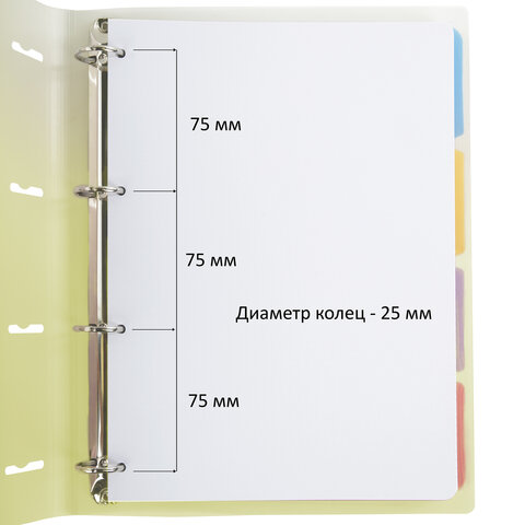 Тетрадь на кольцах БОЛЬШАЯ 305х235 мм А4, 120 л., пластик, с разделителями, BRAUBERG, Желтый, 404624