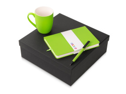 Подарочный набор «COLOR IT» c блокнотом, ручкой и кружкой, Размер твердая обложка, Цвет зеленое яблоко