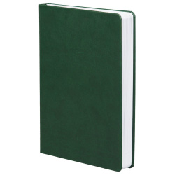 Ежедневник Basis, датированный, зеленый, 15х21х2,3 см
