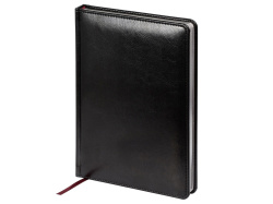 Ежедневник недатированный А5 «Sidney Nebraska» с серебряным срезом, Размер A5, Цвет черный