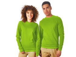 Свитшот «Motion» с начесом, унисекс, Размер 2XL, Цвет зеленое яблоко