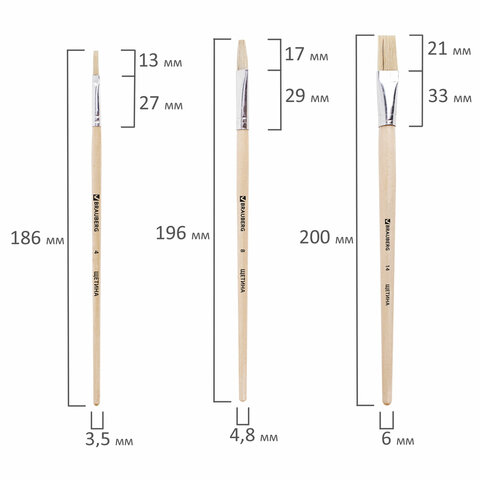 Кисти BRAUBERG, набор 3 шт. (щетина, плоские № 4, 8, 14), блистер, 200223