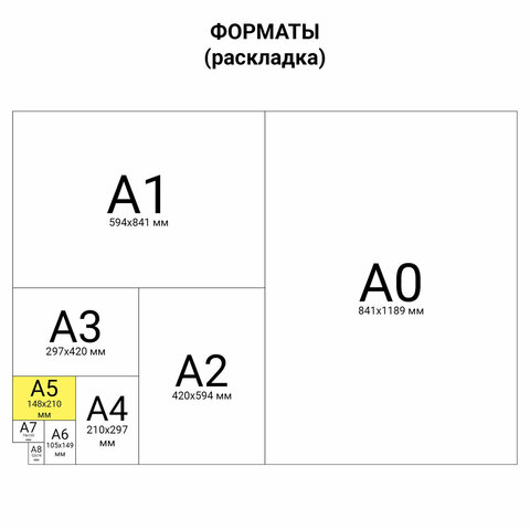 Тетрадь А5 48 л. АЛЬТ скоба, клетка, глянцевый лак, "Кошки. Яркий взгляд" (5 видов), 7-48-1019