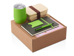 Набор «Refreshment» с термокружкой, блокнотом, ручкой и ланчбоксом, Цвет зеленое яблоко, бежевый, серый