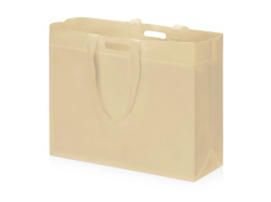 Сумка для покупок «Scope» из нетканого материала, Цвет бежевый