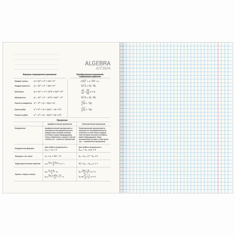 Тетрадь предметная "ПРИРОДА" 48 л., обложка картон, АЛГЕБРА, клетка, подсказ, BRAUBERG, 404770