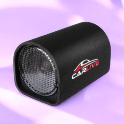 Автомобильный сабвуфер "Carlive SB0112" 12" / Мощный звук и превосходное качество
