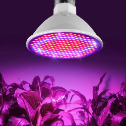 Светодиодная энергосберегающая фитолампа QRCP-00414, фиолетовый свет (цоколь Е27) 50 Вт, для поддержания роста растений, рассады, цветов, микрозелени