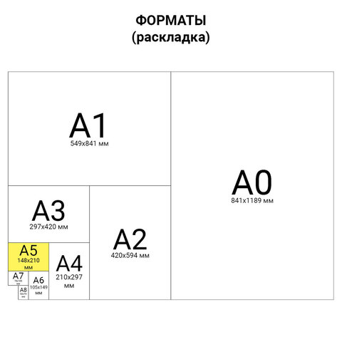 Тетрадь бумвинил А5 48 л. скоба, офсет №1, клетка, "ЗОЛОТО Metallic", HATBER, 48Т5бвВ1