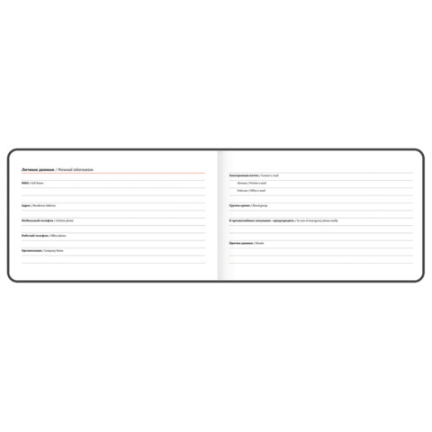 Еженедельник датированный 2026 МАЛЫЙ ФОРМАТ 105х160 мм, А6, BRAUBERG "Blaze", фольга, серый, 117218