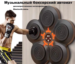 Груша боксерская музыкальная, настенная