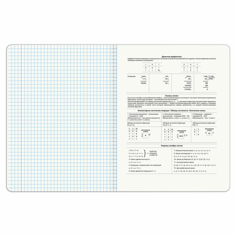 Тетрадь предметная PIGMENT 48 л., глянцевый УФ-лак, ИНФОРМАТИКА, клетка, подсказ, BRAUBERG, 404764