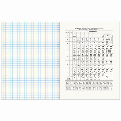 Тетрадь предметная "AVOCADO" 48 л., глянцевый лак, ХИМИЯ, клетка, BRAUBERG, 404284