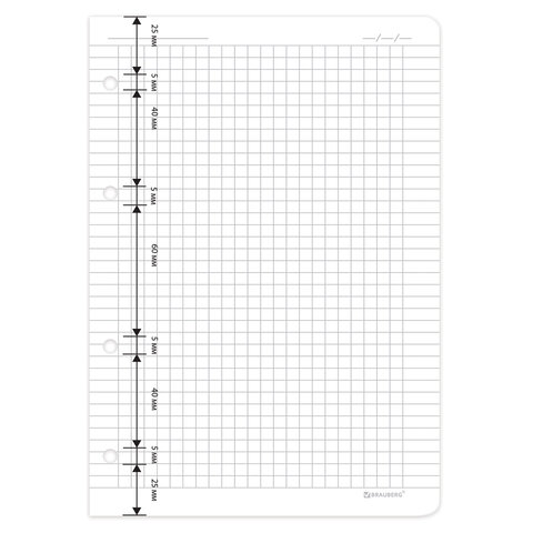 Сменный блок для тетради на кольцах А5 120 л., BRAUBERG, ПОВЫШЕННОЙ ПЛОТНОСТИ, белый, 403638