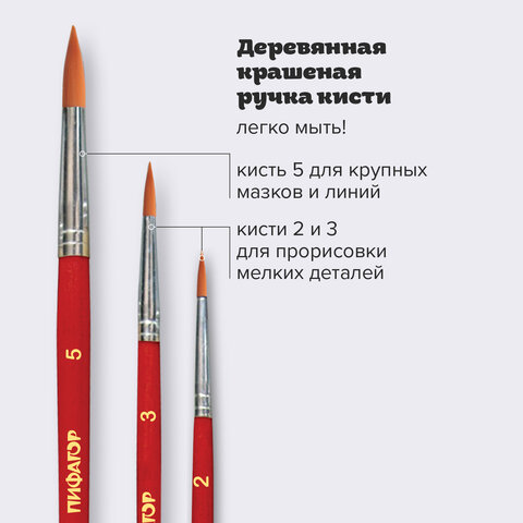 Кисти ПИФАГОР, набор 3 шт. (СИНТЕТИКА: круглые № 2, 3, 5), пакет с европодвесом, 200226