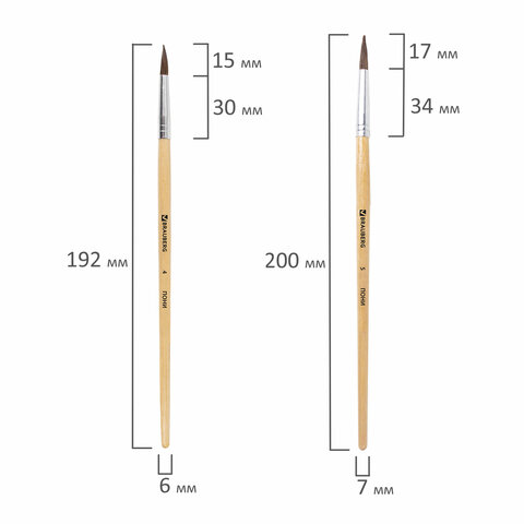 Кисти BRAUBERG, набор 5 шт. (пони, круглые № 1, 2, 3, 4, 5), блистер, 200222