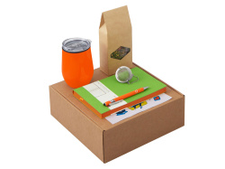 Набор «Writea» с ежедневником, ручкой и термокружкой, Цвет оранжевый, салатовый