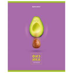 Тетрадь предметная "AVOCADO" 48 л., глянцевый лак, ФИЗИКА, клетка, BRAUBERG, 404283