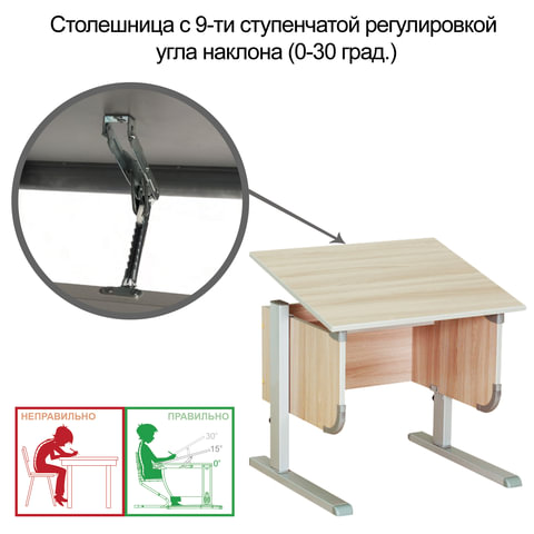 Стол-парта регулируемый "ДЭМИ" СУТ.28, 900х530х530-815 мм, серый/ясень (КОМПЛЕКТ)