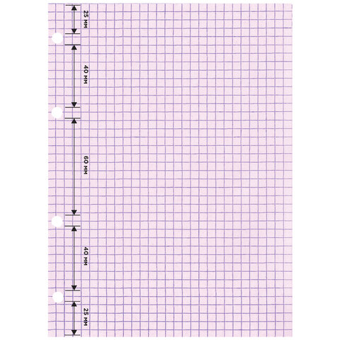 Сменный блок для тетради на кольцах, А5, 200 л., BRAUBERG, 4 цвета по 50 листов, 401661