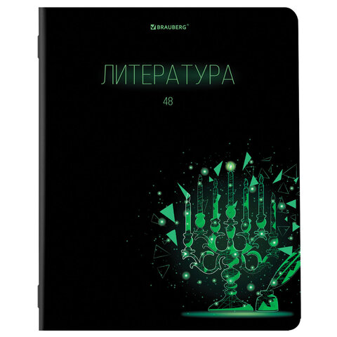 Тетради предметные, КОМПЛЕКТ 12 ПРЕДМЕТОВ, 48 листов, глянцевый УФ-лак, BRAUBERG, "DARK", 404028