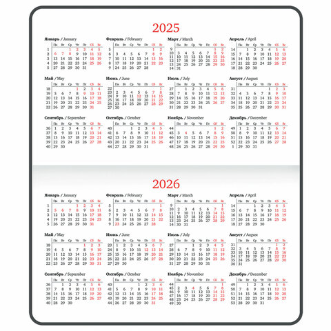 Еженедельник датированный 2025 МАЛЫЙ ФОРМАТ 95х155 мм А6, BRAUBERG "Vista", под кожу, "Marble", 115995