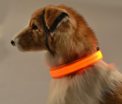 Светящийся ошейник для собак (3 режима) Glowing Dog Collar Оранжевый S (MAX 40 sm)