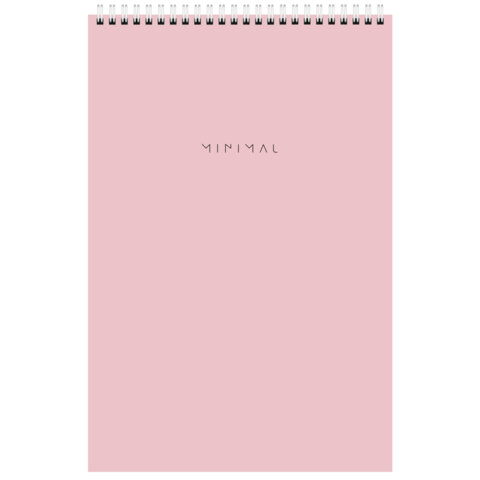 Блокнот ДЭК А4, 200х290 мм, 80 л., КОМПЛЕКТ 2 шт., гребень, подложка, BRAUBERG "Minimal Pastel", 116453