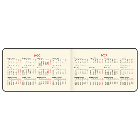 Еженедельник датированный 2026 МАЛЫЙ ФОРМАТ 105х160 мм, А6, BRAUBERG "Imprint", тиснение, черный, 117209