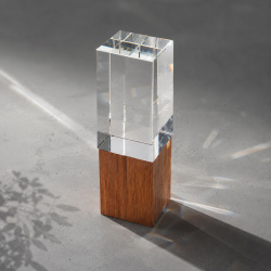 Награда «Wood and glass», Цвет прозрачный/дерево