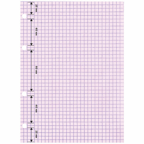 Сменный блок для тетради на кольцах, А5, 120 л., BRAUBERG, 4 цвета по 30 листов, 404614
