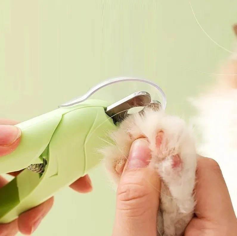 bbsm44avosq4vz8m1q5rs6hfah2yfk9r.webp (795×794)