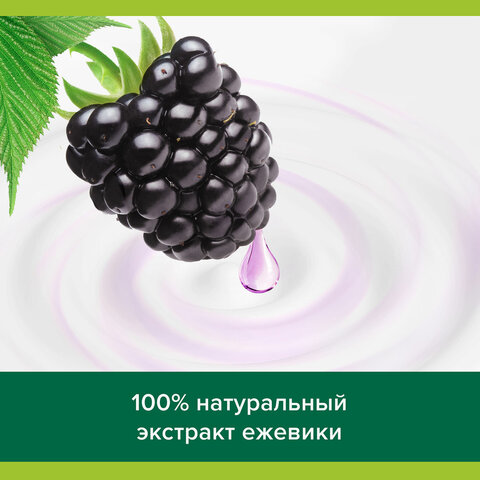 Гель для душа 250 мл, PALMOLIVE ГУРМЭ СПА "Ежевичный мусс", 8718951180369