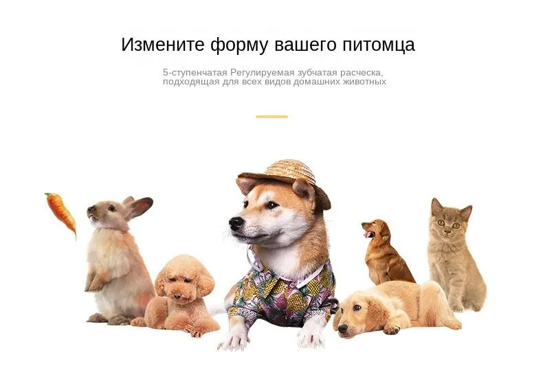 qttuhfru0roxo9tappfenpmrt7jdut3p.webp (790×565)