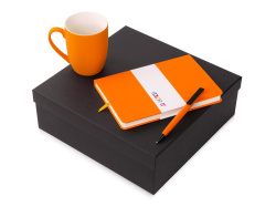 Подарочный набор «COLOR IT» c блокнотом, ручкой и кружкой, Размер магнитная обложка, Цвет оранжевый