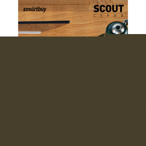 Флеш-диск 16 GB SMARTBUY Scout USB 2.0, черный, SB016GB2SCK