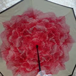 Зонт наоборот UnBrella (антизонт). Подбери свою расцветку настроения!