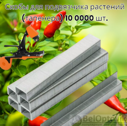 Скобы для подвязчика растений (тапенера) 10 0000 шт. / 6х4мм, 604С сталь 