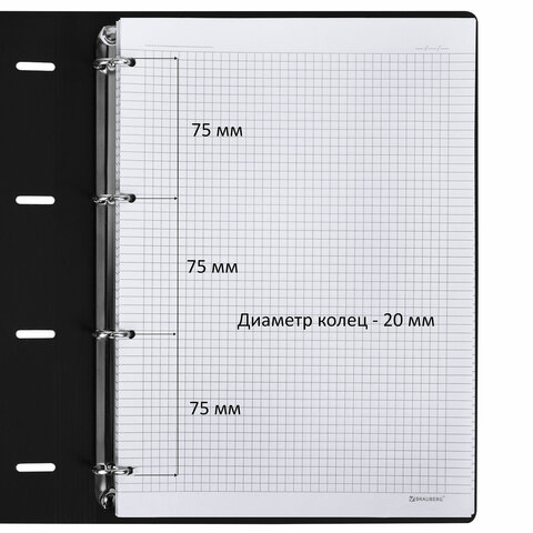 Тетрадь на кольцах БОЛЬШАЯ А4 (240х310 мм), 120 л., под кожу, BRAUBERG VISTA, "Туман", 404515