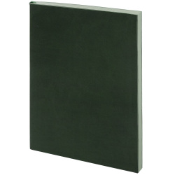 Ежедневник Flat, недатированный, зеленый, 14,6x20,5x1 см