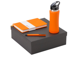 Подарочный набор c блокнотом C3, ручкой и бутылкой, Размер магнитная обложка, Цвет оранжевый