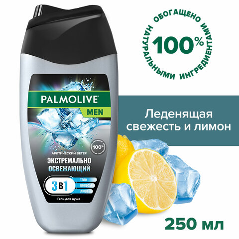 Гель для душа 3 в 1 для лица, волос и тела 250 мл, PALMOLIVE MEN "Арктический ветер", освежающий, 5996175230951