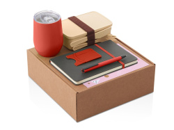 Набор «Refreshment» с термокружкой, блокнотом, ручкой и ланчбоксом, Цвет красный, серый