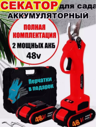 Секатор садовый аккумуляторный в чемодане, 2 сменных аккумулятора 48 V