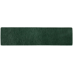 Лейбл кожаный Pasek, S, зеленый, 2х8 см