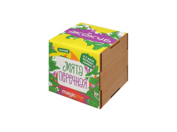 Набор для выращивания «Мята», Цвет желтый