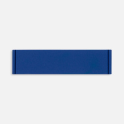 Лейбл из ПВХ Dzeta, S, синий, 2х8х0,2 см